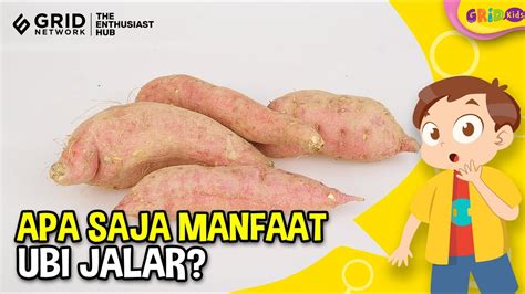 Top 6 Manfaat Ubi Jalar Bagi Kesehatan Salah Satunya Menjaga Kesehatan