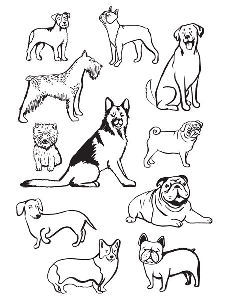 Dog Breeds Coloring Page Download Printable PDF | Templateroller