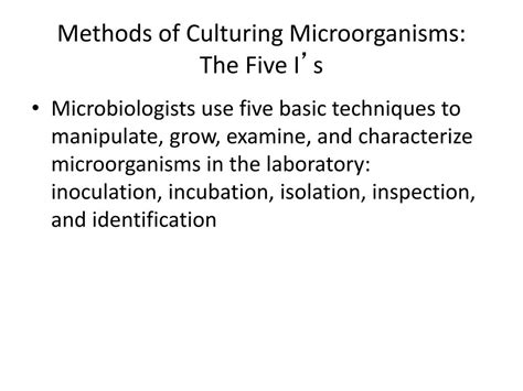 PPT Microbiology Tools Of The Laboratory PowerPoint Presentation