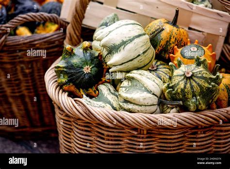 Basket Squash Baskets Squashs Stock Photo Alamy