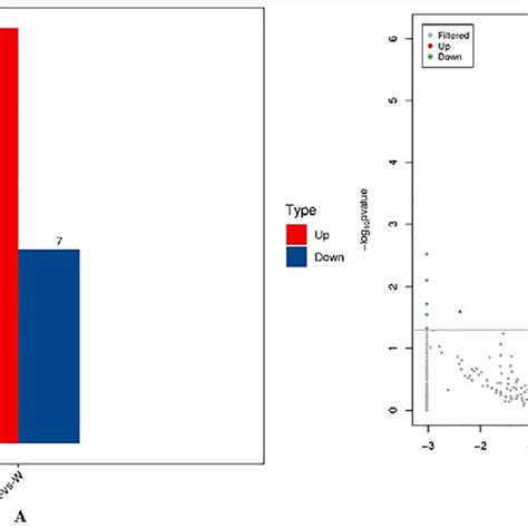 Features Of DE CircRNAs A Number Of DE CircRNAs B Volcano Plot Of