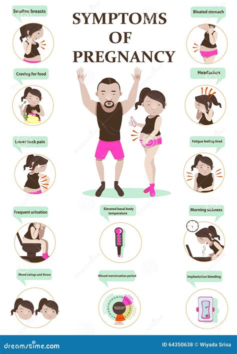 Early Pregnancy Symptoms Timeline