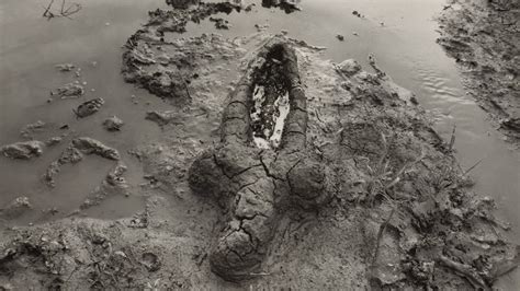 Ana Mendieta Moma