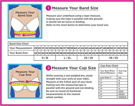 An Easy Guide For Measuring The Correct Bra Size Coolguides In 2022 Correct Bra Sizing