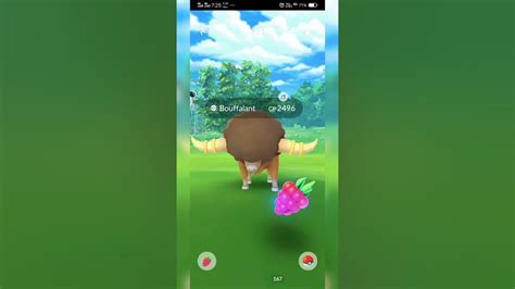 The Big Bull In Pokemon Go Bouffalant Pokemon Go High Cp And Rare