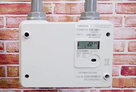 Flourishing Growth Of The Smart Gas Meter Market From 2020 To 2025