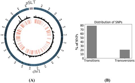 The Overall Distribution Of Mutations A The Circos Plot Shows The