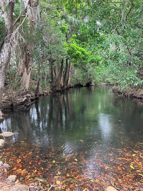 Rural Farming For Sale In Paskins Road Yalboroo Qld