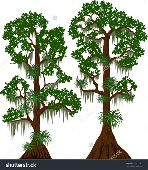 Tree moss clipart - Clipground