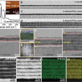 TE Properties Of PtSe2 Thin Films And Vertically And Laterally Stacked