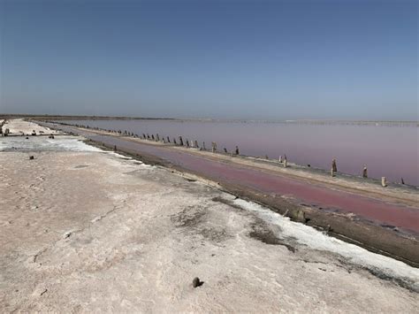 Premium Photo A Beautiful Salt Lake With Pink Water Beautiful View