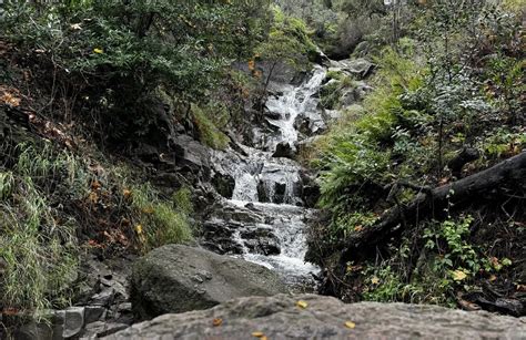 10 Best Trails And Hikes In Newbury Park Alltrails