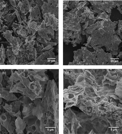 Sem Images At Various Magnification For The 2 Nio Zro2 A And B And Download Scientific