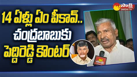 Minister Peddireddy Ramachandra Reddy Strong Counter To Chandrababu