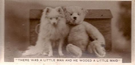 199 best images about Vintage Dog Postcards (all breeds) on Pinterest ...