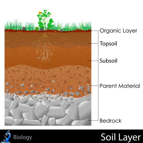 Diagram Layers Of Soil