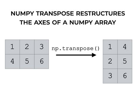 Numpy Transpose Explained Sharp Sight