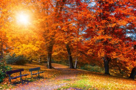 Autumn Scene Images – Browse 966,838 Stock Photos, Vectors, and Video ...