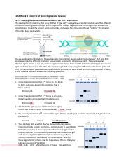 Week Discussion Worksheet Pdf Ls A Week Control Of Gene