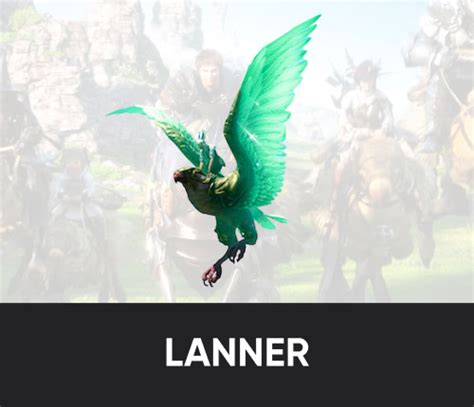 Buy Ffxiv Lanner Mount Boost Service