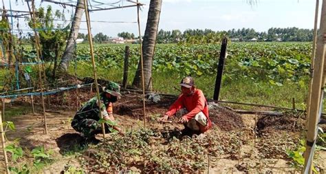 Serda Syaiful Gelar Komsos Bersama Petani Sayuran Desa Ollot Kilas