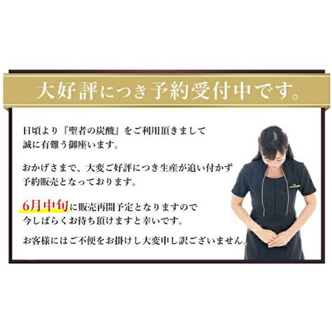 【楽天市場】聖者の炭酸【純国産】重曹クエン酸水 食用重曹×食用クエン酸 持ち運びしやすい個包装 各30包 計60包：結喜堂 楽天市場店