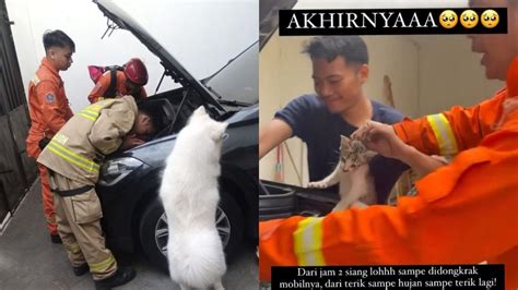 Aksi Petugas Damkar Selamatkan Kucing Yang Terjebak Dalam Mesin Mobil