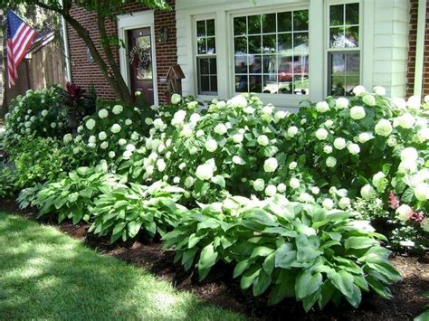 14 Lush Hydrangeas And Hostas Shade Garden Farmhouse Landscaping Front Yard Landscaping