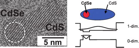 Left Hrtem Image Of A Single Coreshell Cdse Cds Rod Like Nc With The