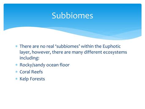 PPT Aquatic Biome The Euphotic Zone PowerPoint Presentation Free