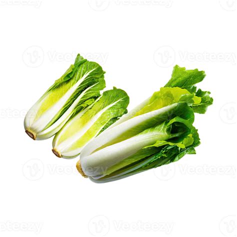 AI Generated Floating Of Endive With A Crisp Texture With Sliced