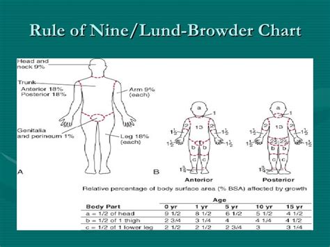 Pediatric Burn Chart