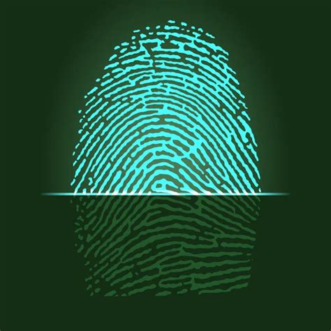 Fingerprint Scanner Stock Vector Chege