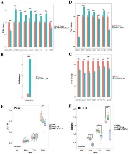 Full Article Senescence Associated Genes And Non Coding Rnas Function In Pancreatic Cancer