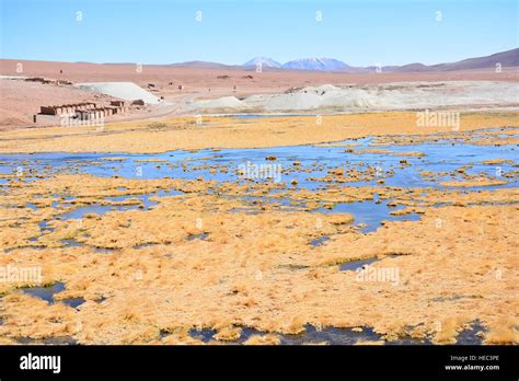 Landscape Of Mountain And Lake In Atacama Desert Chile Stock Photo Alamy