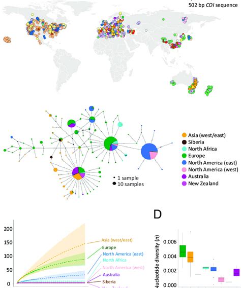 Global Patterns Of Mitochondrial Haplotype Diversity A Geographic