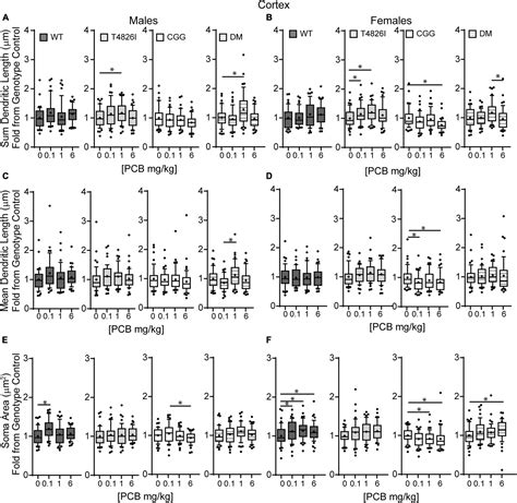 Frontiers Sex And Genotype Modulate The Dendritic Effects Of