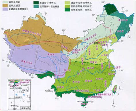 2020年中国植被类型分布数据 地理遥感生态网