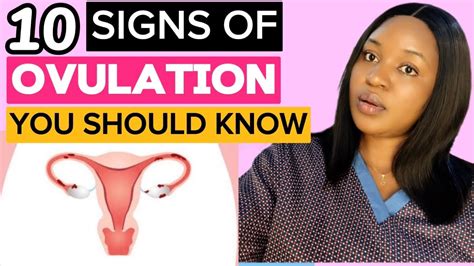 Signs And Symptoms Of Ovulation How Do I Know Im Ovulating Youtube