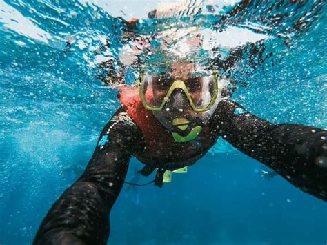 Scuba Divers Beginners Guide Ideal Diving