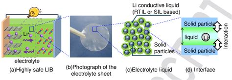 Schematic Illustration Of Quasi Solid Electrolyte Lib Download Scientific Diagram