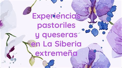 Experiencias Queseras Con Degustaci N Visitas A La Ganader A Ovina Y