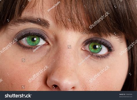 Close-Up Of Beautiful Green Eyes. Stock Photo 73060585 : Shutterstock