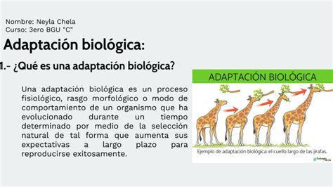 Adaptaci N Biol Gica By Neyla Chela On Prezi