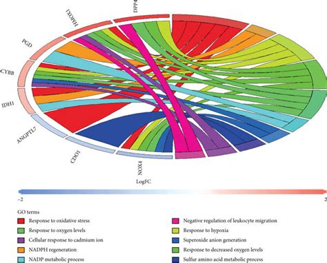 Gene Ontology Go Enrichment Analysis Of 33 Differentially Expressed