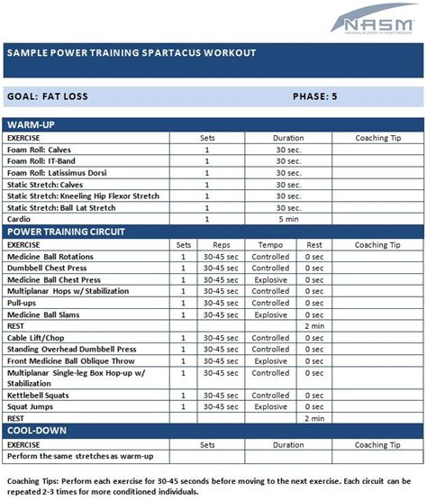 Nasm Opt Model Template Tutoreorg Master Of Documents