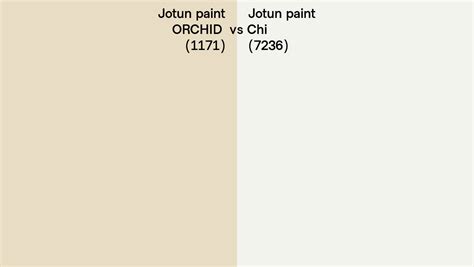 Jotun Paint ORCHID Vs Chi Side By Side Comparison