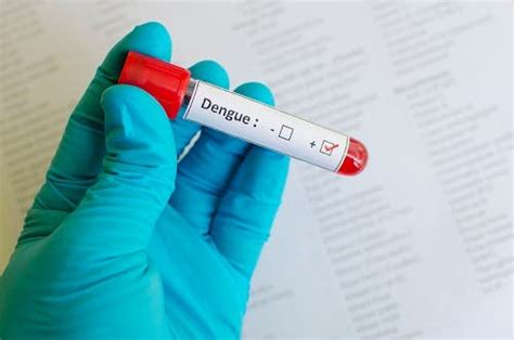 WHO endorses first Dengue Fever vaccine