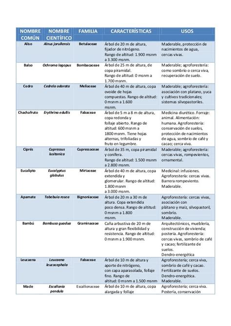 Plantas Medicinales