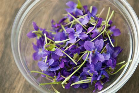 candied violets recipe | use real butter